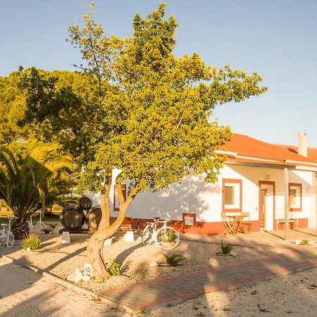 Casa Das Pipas #4 Pinhal Novo Esterno foto
